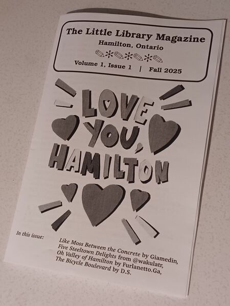 File:LLM Issue 1.jpg