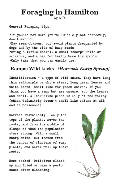 File:LLM issue 2 - reading version.pdf