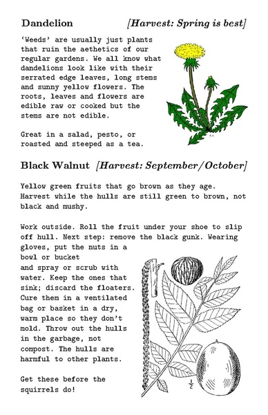 File:LLM issue 2 - reading version.pdf