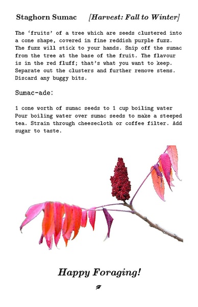 File:LLM issue 2 - reading version.pdf